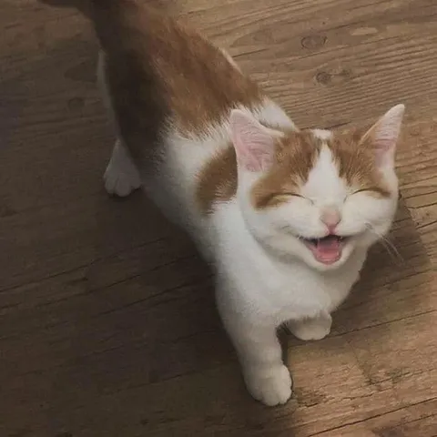 Want to be happy as this guy