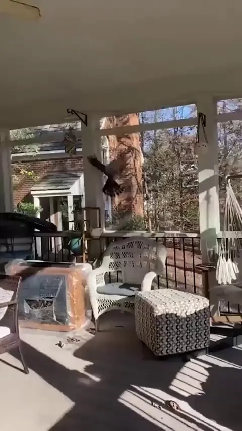 How dare you?