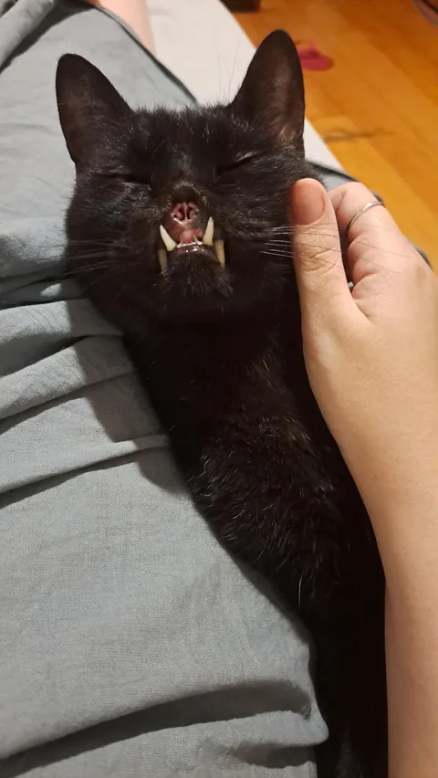 My little void beat cancer