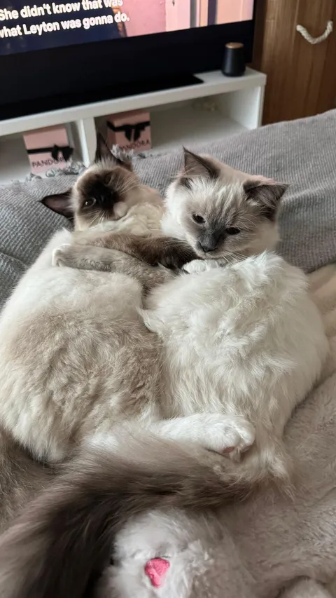 Two lovers enjoying themselves like they own the house