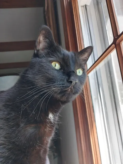 What are some boundaries your void has set with you?