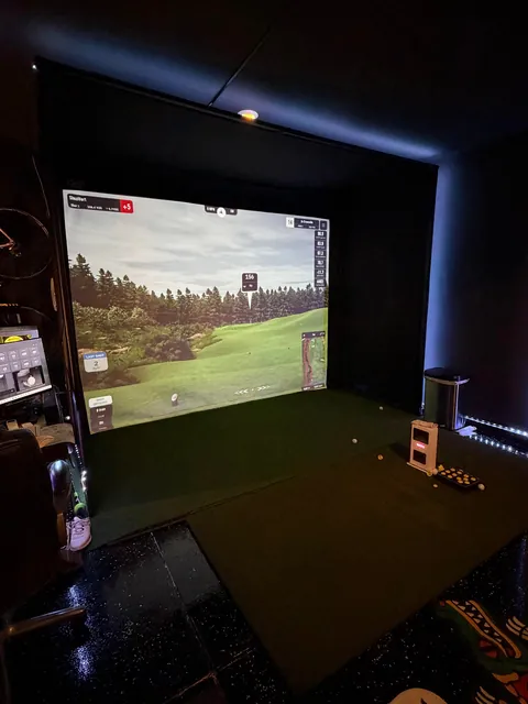 Basic two-car garage to a financial mistake I can hit golf balls and race in