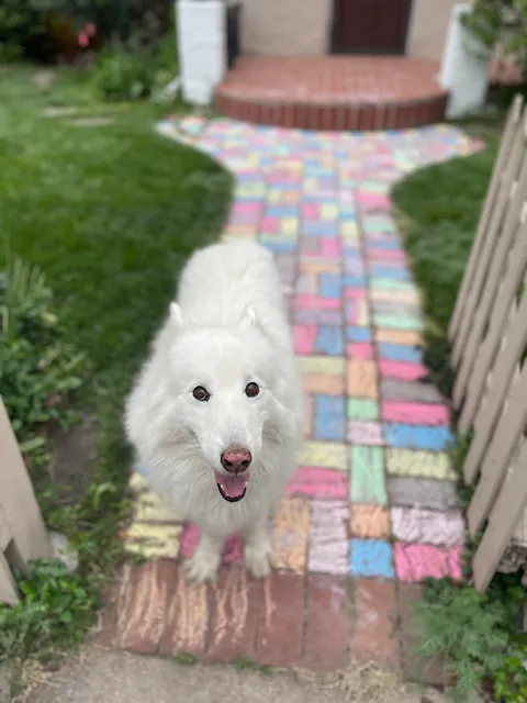 Pictures of the Queen!! She turned 14 April 23