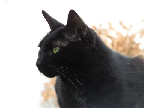 19 years wasn’t long enough.