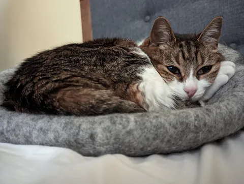 My Best Friend Sarah