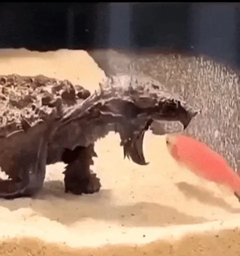 Snapping turtle - nature’s living fossil 