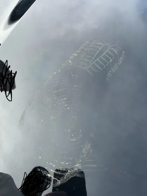 Someone vandalized my car, what can you tell me about their sneakers?