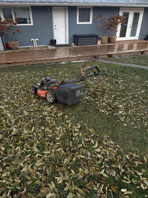 A lawnmower is more effective at picking up leaves than a rake