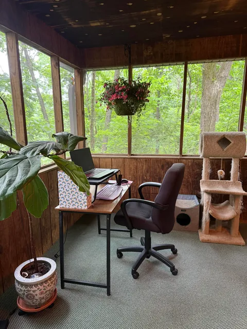My sunroom/office/foster kitten room