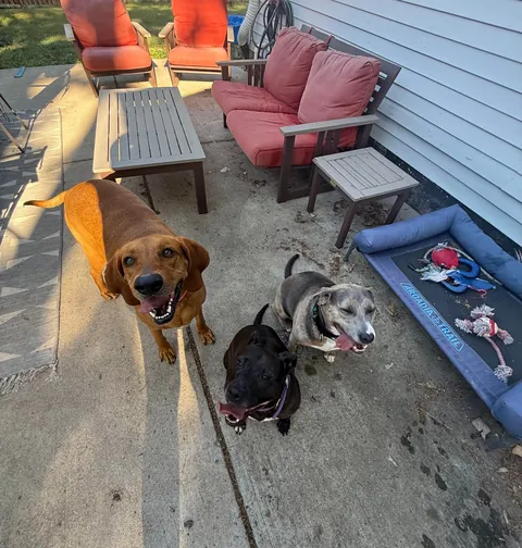 Last Waffles update for today. Cozy and calm after a big day.