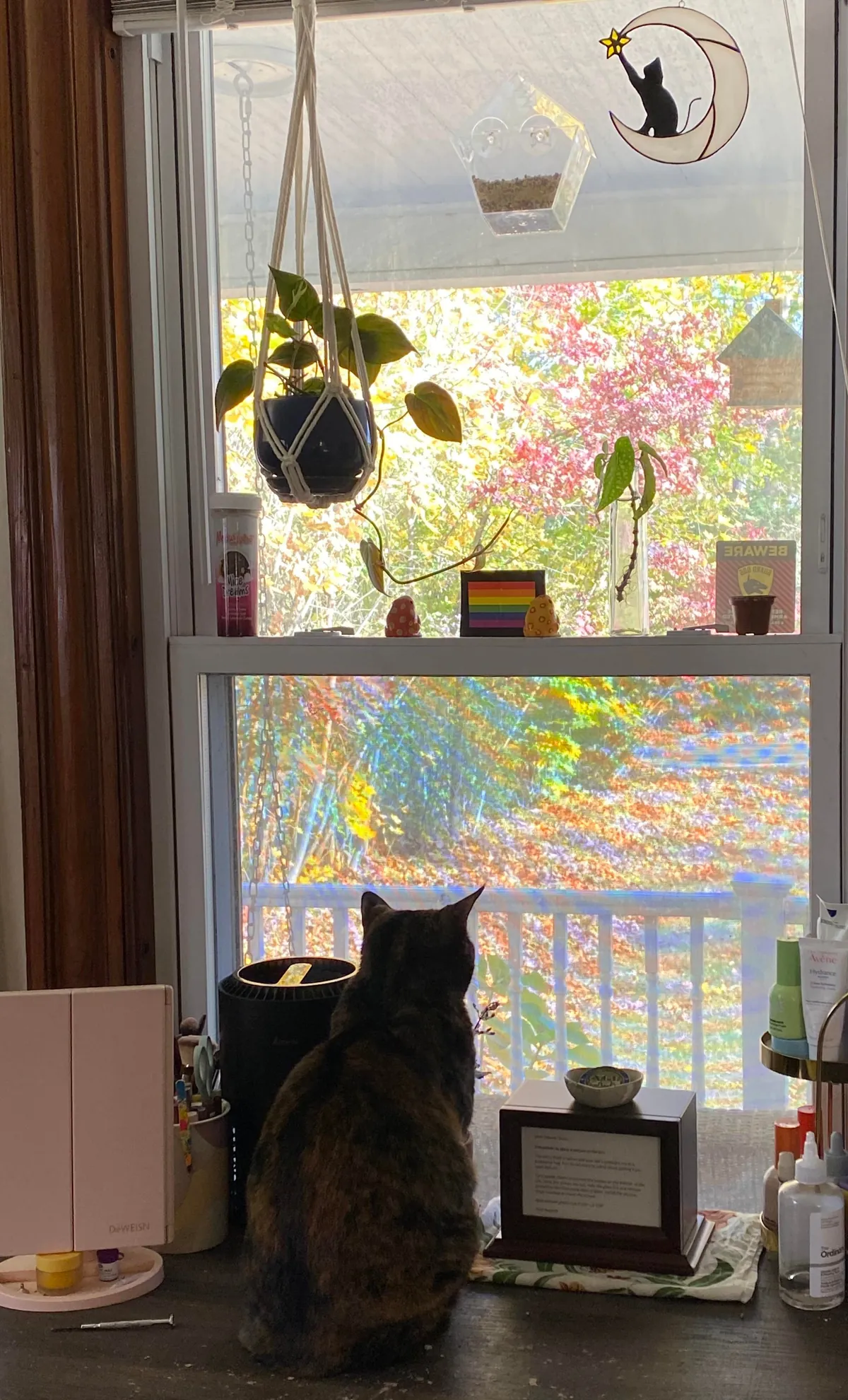 I’m sorry for the sad post. My girl is home.