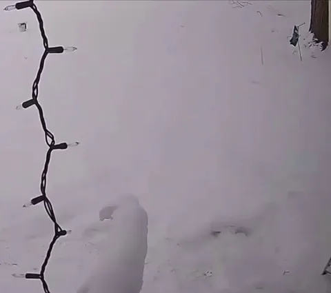 Dad spent all day making his famous chili