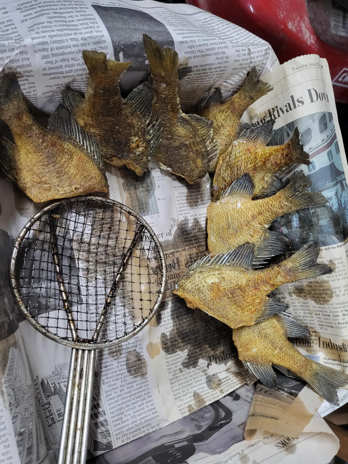 Late night fish fry [homemade]