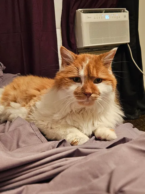 I loved you for 10 years and 1 day