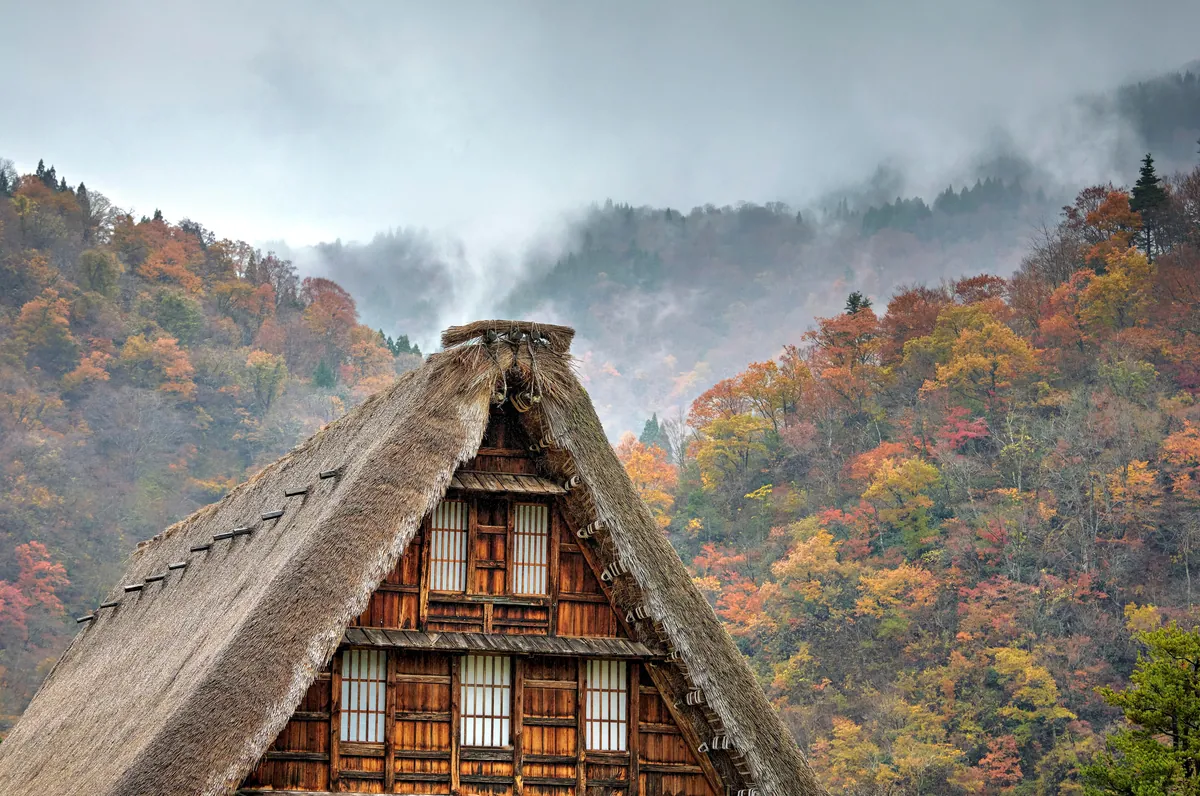 Fall colors in Japan