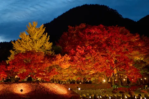 Mt. Fuji and the Japanese Alps in Autumn, Japan