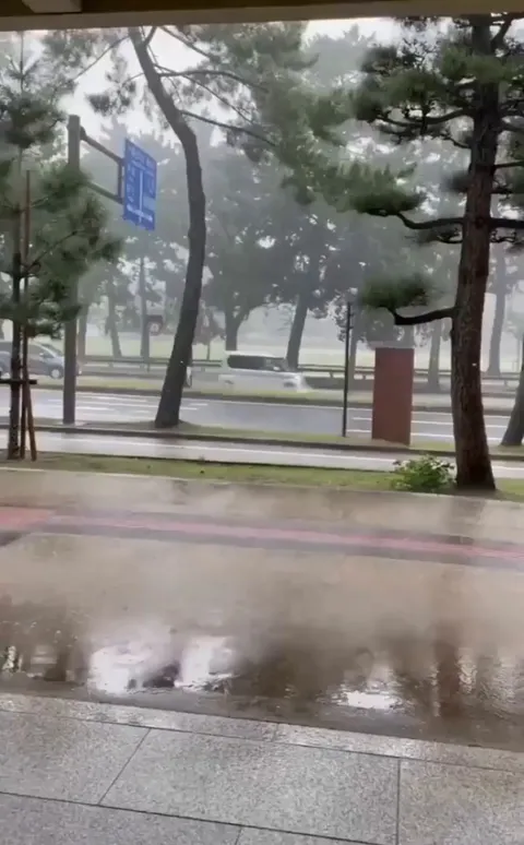 🔥Deer and humans hiding from the storm together