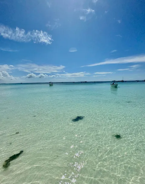 2 weeks of a dream in Tanzania