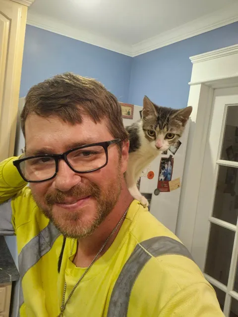 Adopted this little minou today. Reddit, meet Stella.