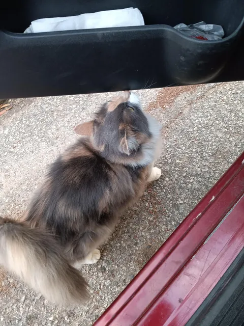 Delivered a pizza and came home with the best tip ever