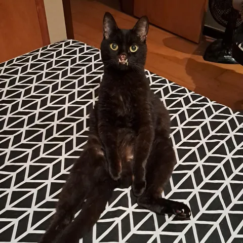 My little void beat cancer