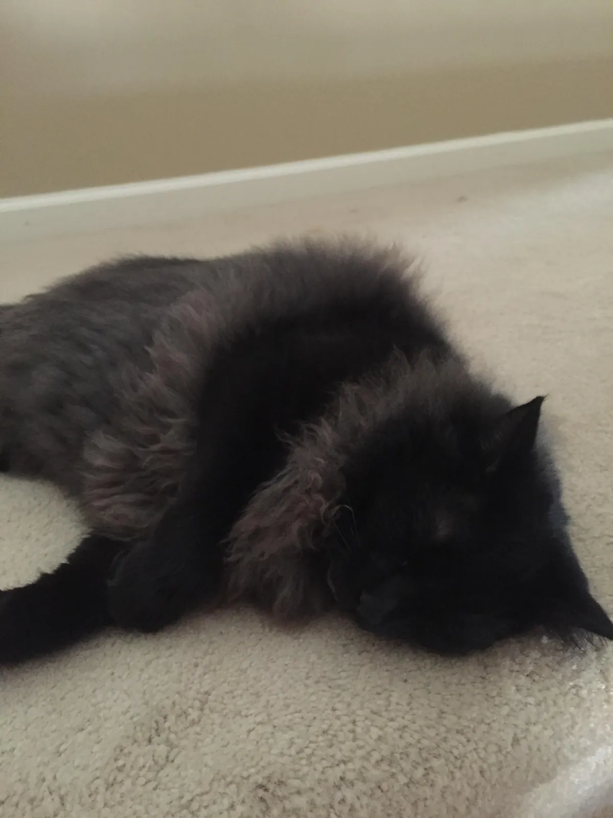 From gotcha to goodbye