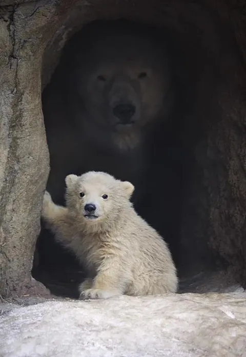 Stepping into the world under Mama’s protection.