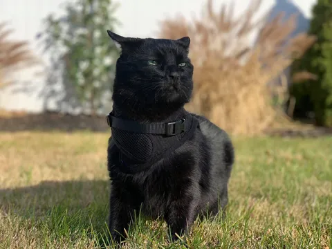 cleared for take-off