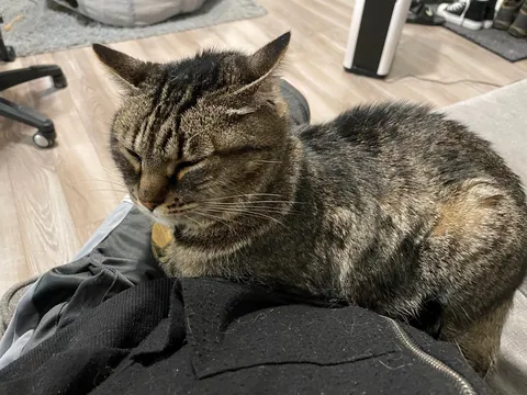 My nurses keeping an eye on me after surgery