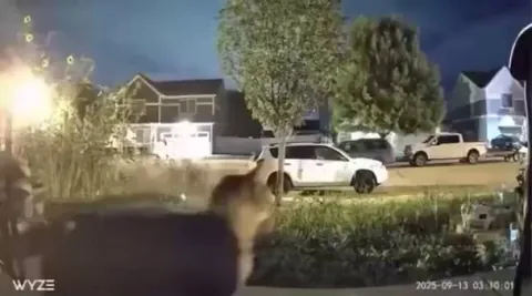 Reliable eye witness