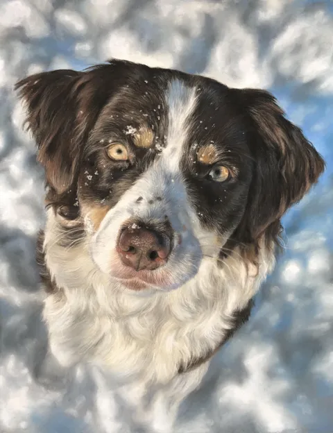 My dog, finndog (me), pastel, 2021