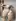 My big ass dripping wet in the shower — begging to be grabbed and slapped hard