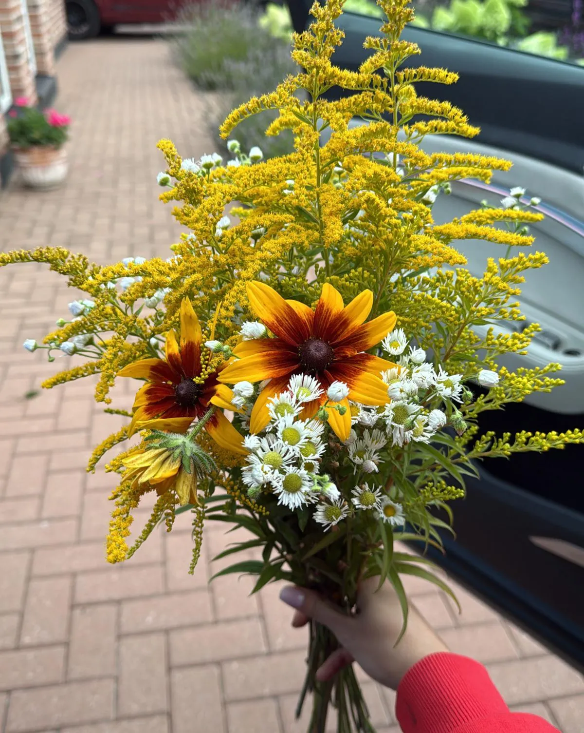 flowers from my garden