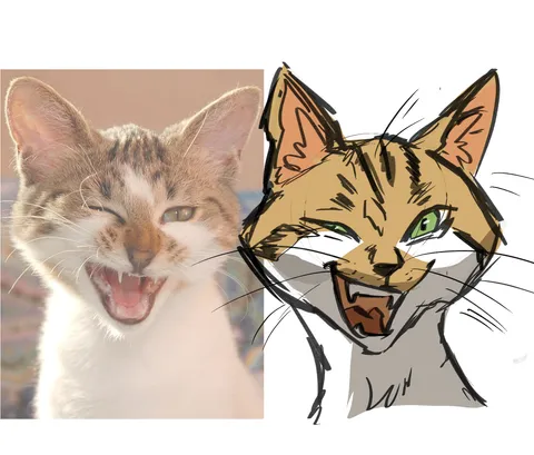 Send a funny pic of your cat and I'll sketch it quickly!