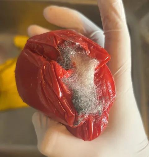 Got my groceries delivered. This was the bell pepper I got