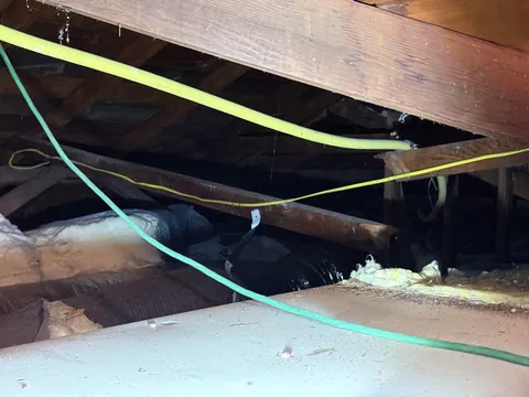 Was checking the attic after we had a leak from a rainstorm, I turn my head to see this…. how screwed am I?