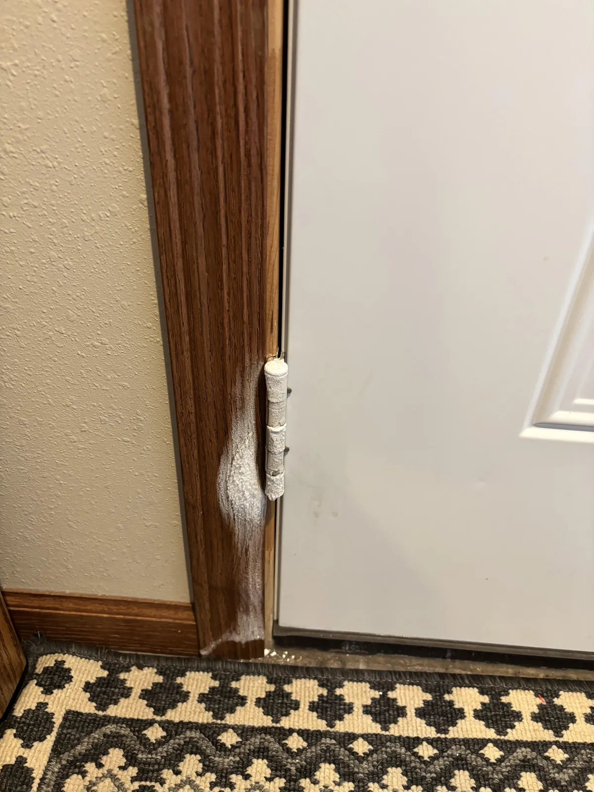 Ice on interior of front door