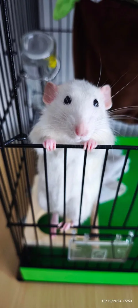 Don't be fool by how his face looks he is an ass 