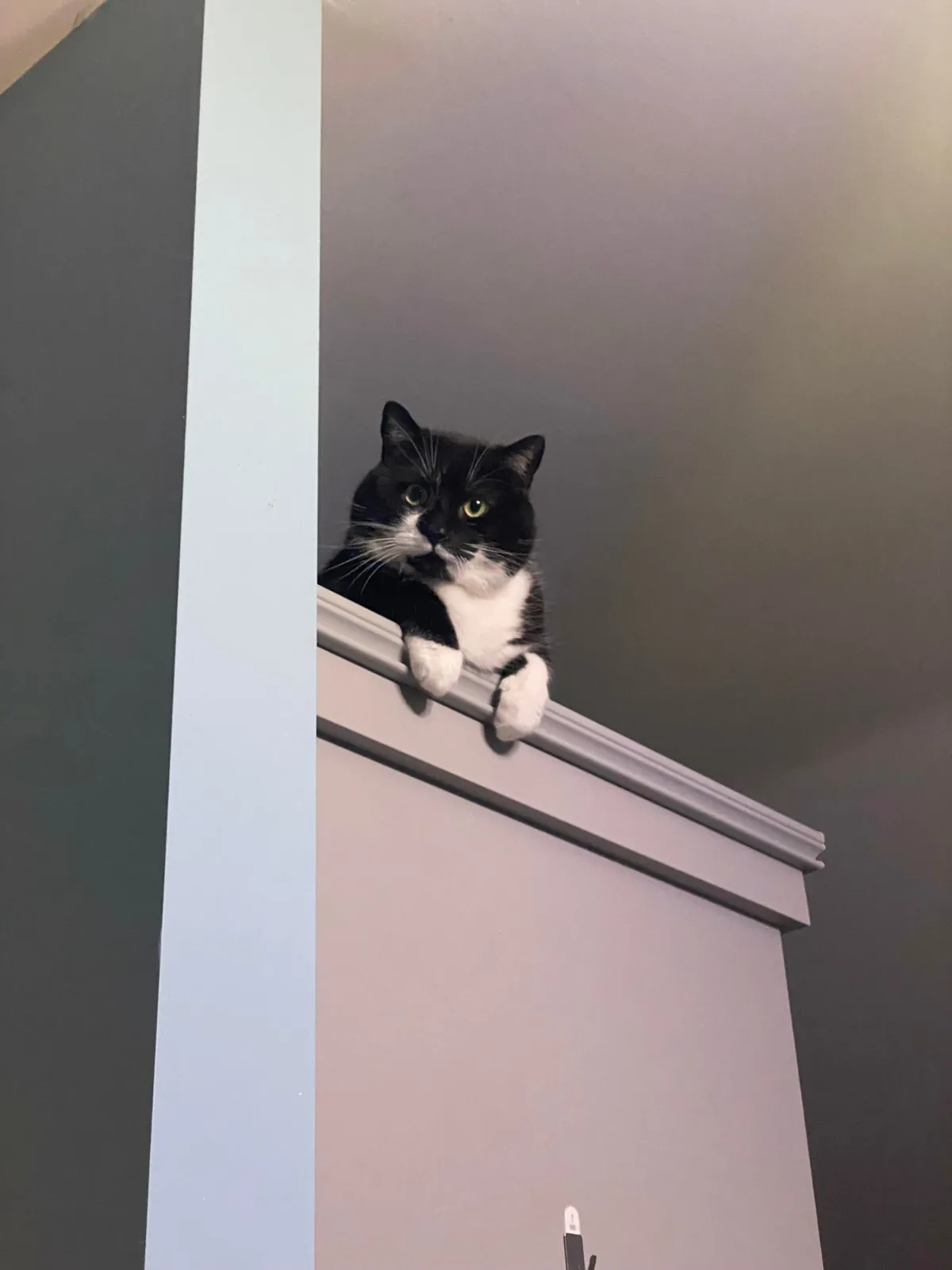 Your Actions Have Been Noted, Peasant.