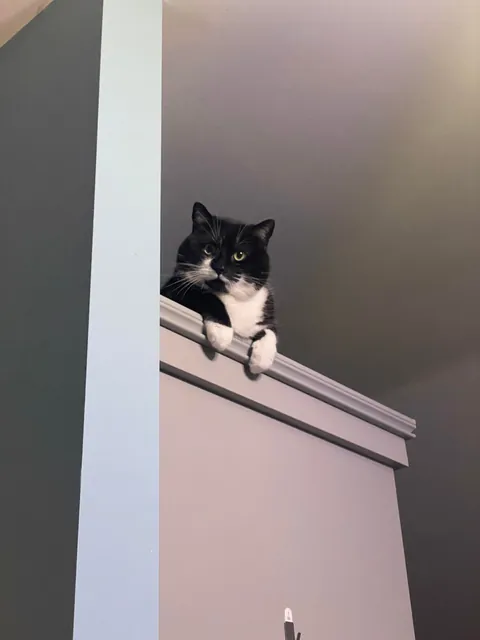 Your Actions Have Been Noted, Peasant.