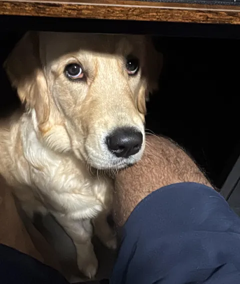 Just sat down to game after 2 hours of fetch