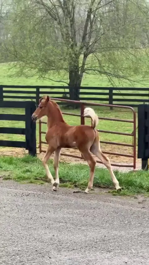 He knows he’s fancy!!