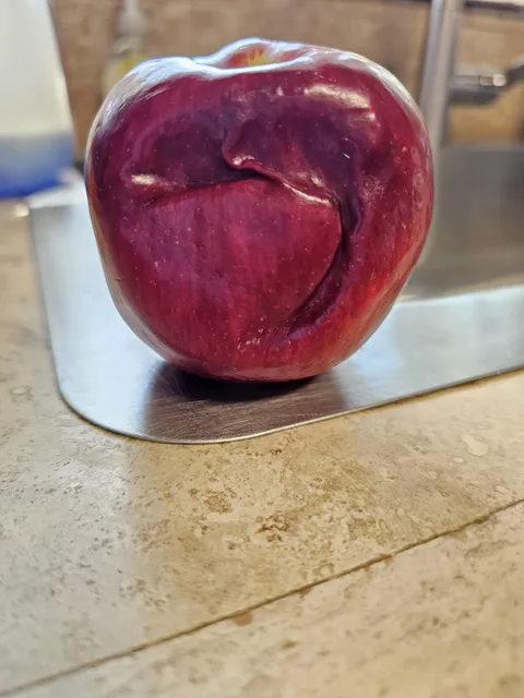 This apple was damaged at some point and then healed itself. It isn't squishy or mushy at all, completely firm and normal.