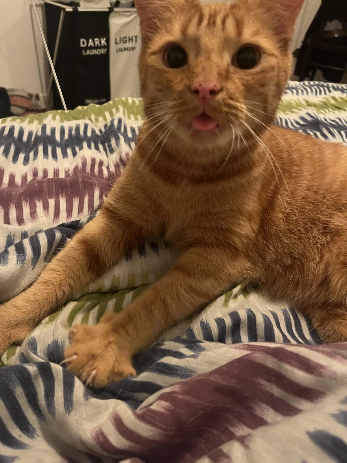 My lovely man doing the happy mlem