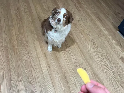 [homemade] onion dogs 3 ways.