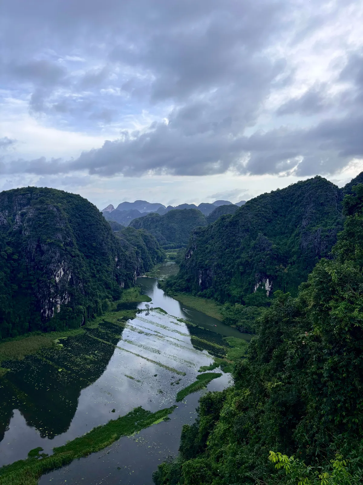 5 weeks in Vietnam 🇻🇳