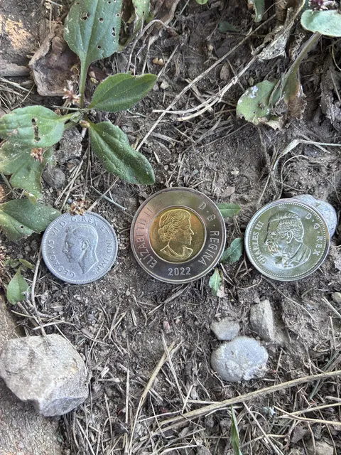 Son spent his money, got three generations of British royalty back in his change