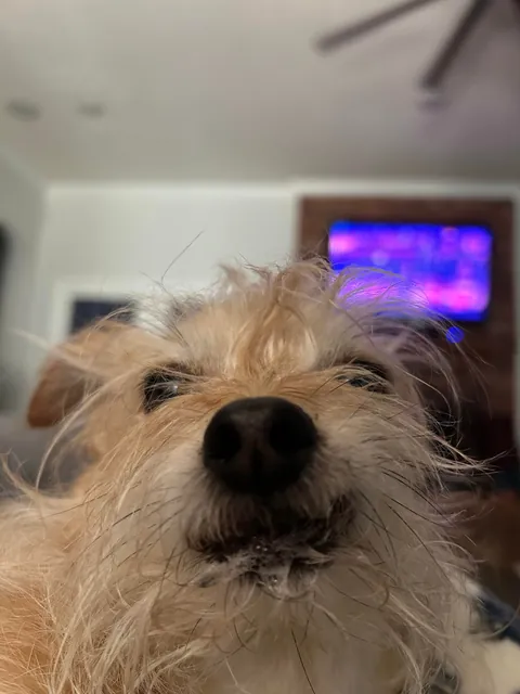 Evan! The most special little guy