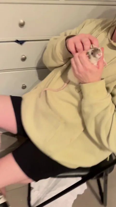 what does this mean?!