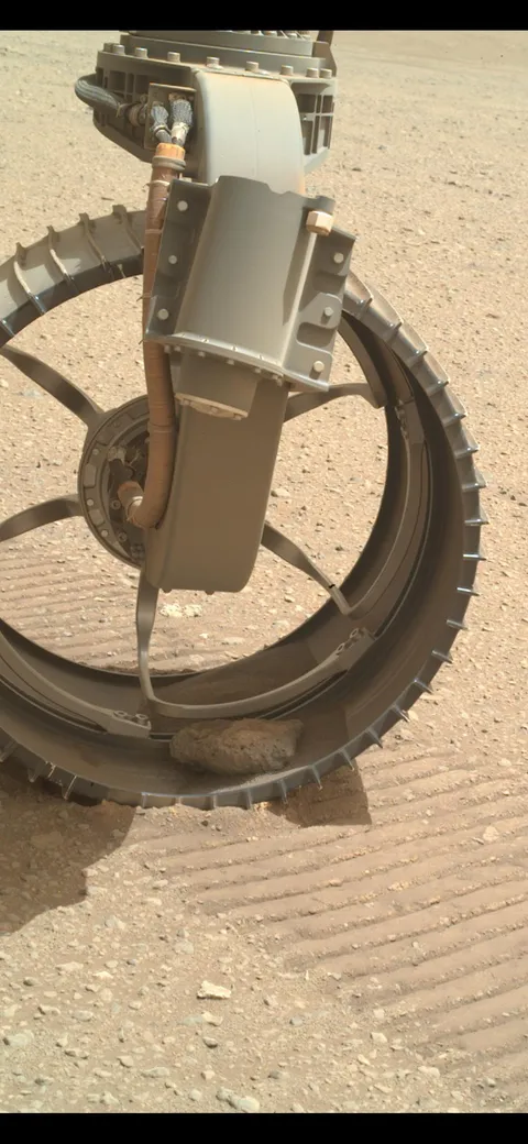 Perseverance Rover is carrying this load for almost a year now